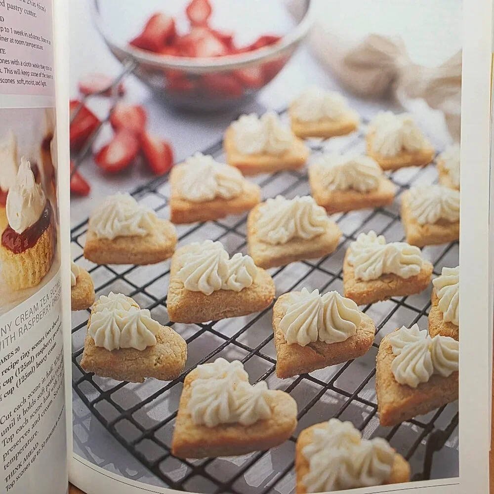 Hors D'oeuvres Cookbook 1999 Edition (Hard Cover)